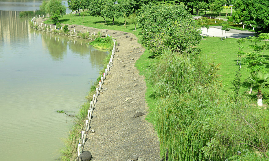 河道生態(tài)護(hù)坡